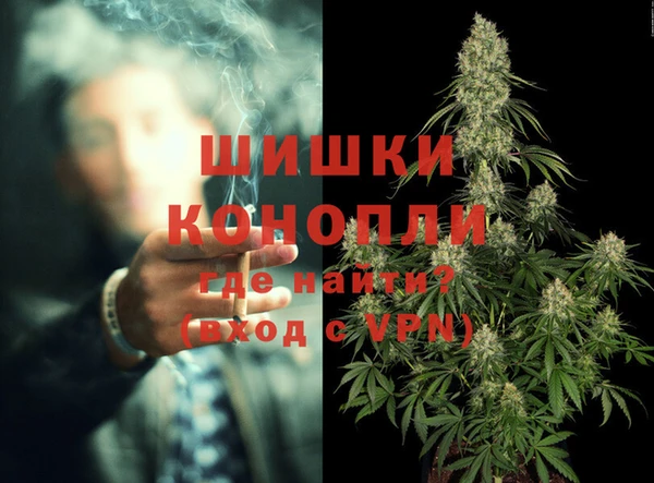 ешки Белокуриха