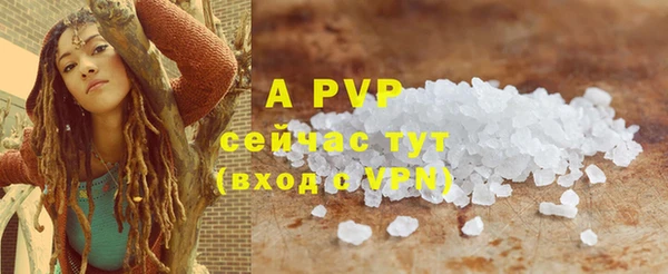 ешки Белокуриха